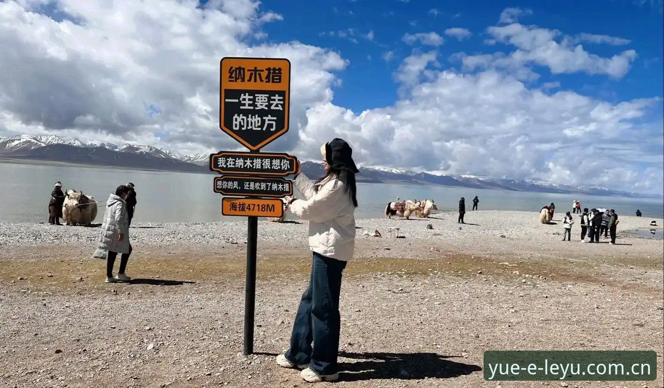 每一跃皆有新天地iOS苹果入口 一位生活观察家的选路心得:找到那片属于你的新天地